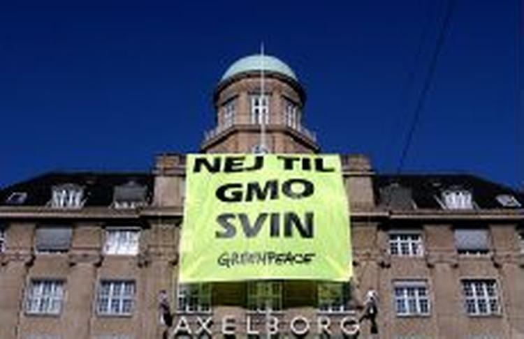 Under aktionen i oktober 2003 blev dette banner hængt op i det indre København. Det er terror, mener anklagemyndigheden tilsyneladende. - Arkivfoto: Miriam Dalsgaard 