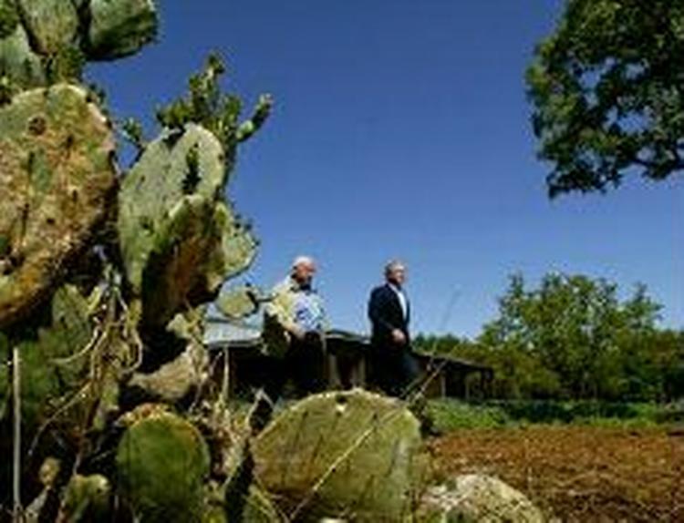 Mon Israels premierminister Ariel Sharon nød lyden, da han besøgte Crawford i Texas for nylig? - Foto: AP 