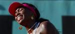 Det var ikke sjov at være Venus Williams i dag. Serenas storesøster tabte i tre sæt en bulgarsk opkomling. - Foto: AP 
