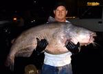 Tim Pruitt med en malle på 56 kilo fanget i Mississippifloden. Fangsten er atypisk på to måder: Dels vadede Tim Pruitt ikke ud i floden for at hente fisken, men tog den på krog, dels overlevede mallen.   Foto: AP 