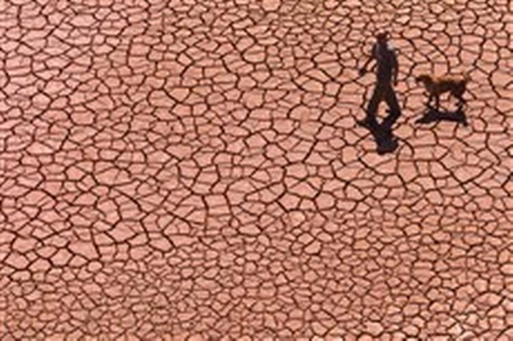 En mand lufter sin hund på et udtørret vandreservoir i Alcora i det østlige Spanien.   Foto: Fernando Bustamante/AP 
