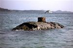 Den næsten 150 år gamle ubåd ligger ud for Panamas Stillehavskyst. Måske var den forbillede for Jules Vernes Nautilus-ubåd. - Foto: Scientific Exploration Society 