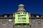 Greenpeace i aktion på Axelborg