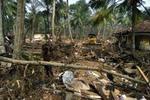 Den britiske nødhjælpsorganisation Oxfam skulle bruge køretøjer for at nå frem til Sri Lankas uvejsomme områder. Her er det landsbyen Parelliya, hvor mange omkom under tsunamien. - Arkivfoto: AP 