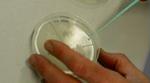 Et amerikansk biotekfirma forsøger at få europæisk patent på diagnostik af anlæg for en særlig type brystkræft. - Arkivfoto: Jan Grarup 