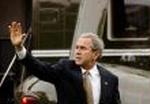BUSH