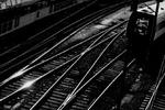 Det er fælles, men ikke billigt. - Arkivfoto: Jacob Ehrbahn 