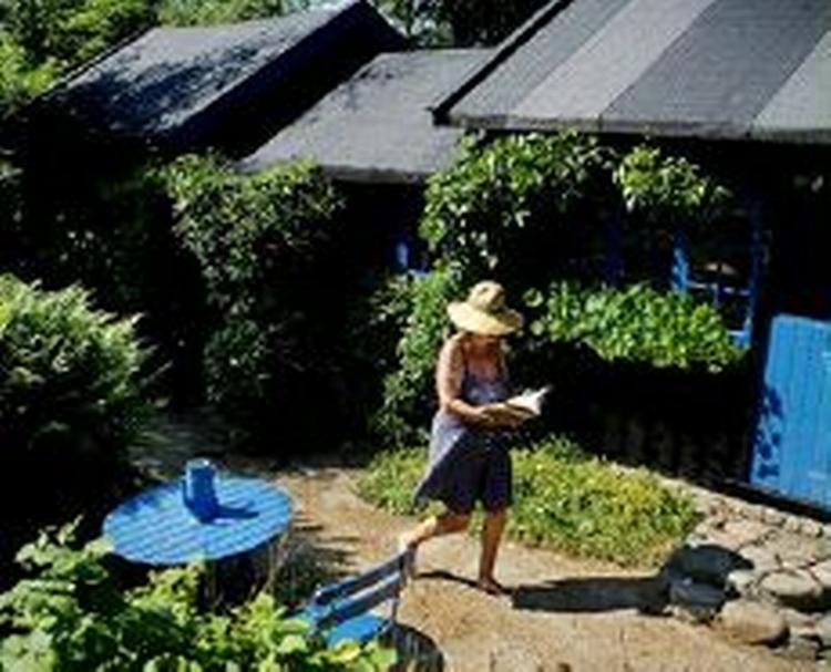 Sommerhuspriserne - som her i Gilleleje - er steget <i>alt</i> for voldsomt, mener flere bankøkonomer. - Foto: Mads Nissen 