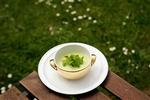 Den grønne vichyssoise er velkendt fra det varme køkken. Foto: Mads Nissen 