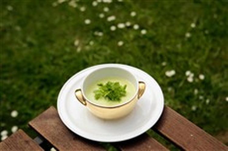 Den grønne vichyssoise er velkendt fra det varme køkken. Foto: Mads Nissen 