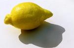At bide i den sure citron hjælper ikke, hvis man vil forhindre forkølelse. - Foto: Niels Hougaard 