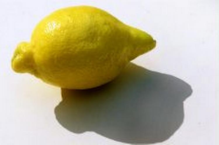 At bide i den sure citron hjælper ikke, hvis man vil forhindre forkølelse. - Foto: Niels Hougaard 