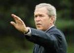 BUSH