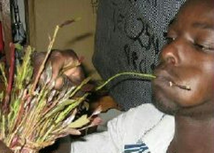 Mellemfolkeligt Samvirke kan fortsætte sin støtte til demokrati og menneskerettigheder i Kenya. - Foto: AP 