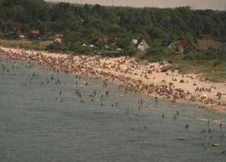 Især på de varme dage er strandene som fluepapir. - Arkivfoto: Jan Grarup 