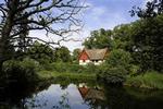Lokale kræfter frygter for amtets ønske om en ny motor- eller motortrafikvej ved Gisselfeld Kloster.   Foto: Peter Hove Olesen 