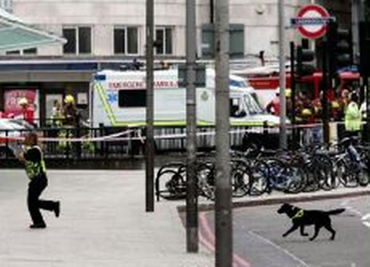 Bombehunde og betjente undersøger Warren Station, hvor en af de fire bomber eksploderede. - Foto: AP 