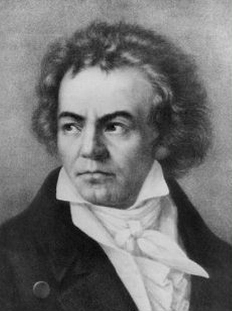 Ludwig van Beethoven er populær på nettet. 