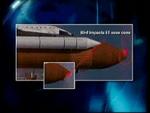 'Discovery' blev ramt af en fugl under opsendelsen. - Foto: AP 