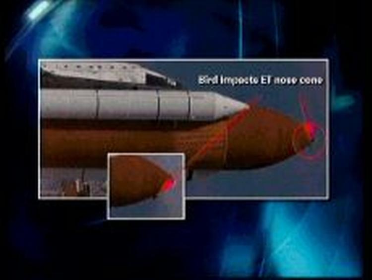 'Discovery' blev ramt af en fugl under opsendelsen. - Foto: AP 