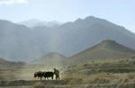 Osama bin Laden befinder sig muligvis stadig i grænselandet mellem Afghanistan og Pakistan. - Foto: AP 