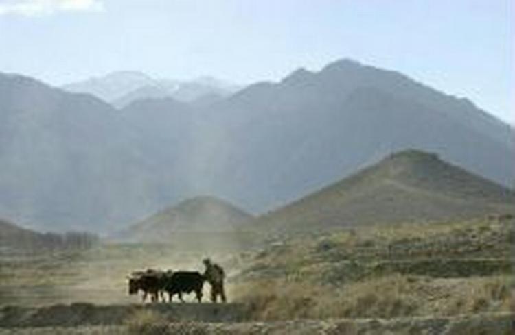 Osama bin Laden befinder sig muligvis stadig i grænselandet mellem Afghanistan og Pakistan. - Foto: AP 