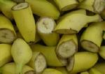 EU vil gerne tilgodese bananer fra de tidligere kolonilande, men det forhindrer WTO. - Foto: Kim Agersten 