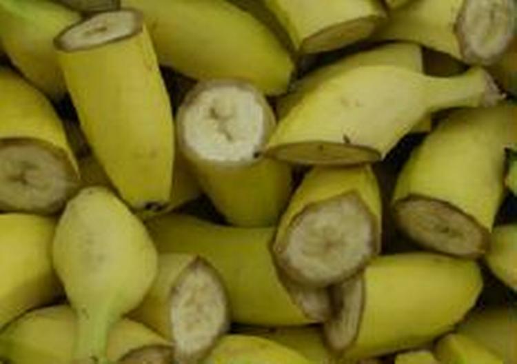 EU vil gerne tilgodese bananer fra de tidligere kolonilande, men det forhindrer WTO. - Foto: Kim Agersten 