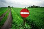 Der er blevet flere bare marker i det danske landskab, efter at landmænd i foråret fræsede hundredvis af hektar skov, krat og hegn for at få mere i EU-støtte.   Foto: Jakob Carlsen. 