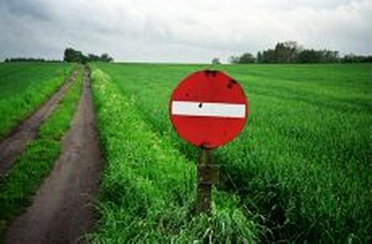 Der er blevet flere bare marker i det danske landskab, efter at landmænd i foråret fræsede hundredvis af hektar skov, krat og hegn for at få mere i EU-støtte.   Foto: Jakob Carlsen. 