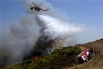 Brandfolk forsøger at slukke ilden i et Boeing 737-fly, der styrtede ned nord for Athen og dræbte alle 121 mennesker om bord.   Foto: AP 