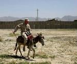 En amerikansk soldat rider et æsel ved Kabul, Afghanistan. Æslet bliver marinernes nye transportmiddel. - Foto: AP 