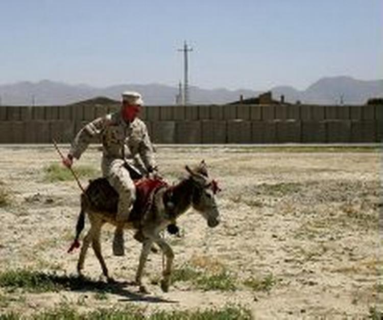 En amerikansk soldat rider et æsel ved Kabul, Afghanistan. Æslet bliver marinernes nye transportmiddel. - Foto: AP 