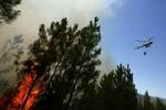En helikopter bekæmper voldsomme flammer i et område nord for Lissabon. - Foto: AP 