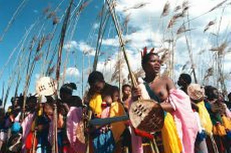 Hvert år i september samles tusinder af jomfruer til dans for kongen i Swaziland. Han vælger en af dem til sin brud. - Foto: Jesper Strudsholm 