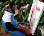Denne kunstner-chimpanse maler tilsyneladende med venstre hånd. - Foto: AP 