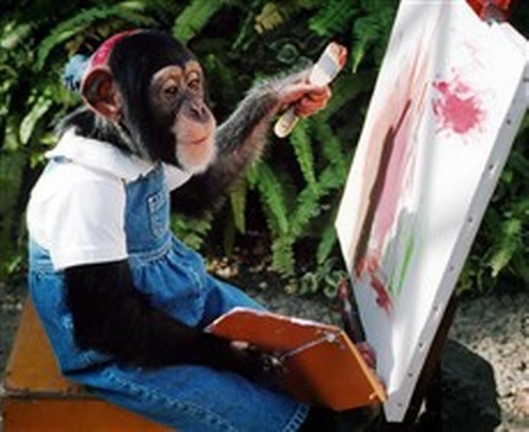 Denne kunstner-chimpanse maler tilsyneladende med venstre hånd. - Foto: AP 