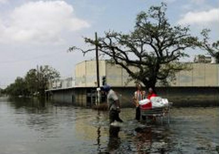 Borgere i New Orleans vandrer gennem vand, der fortsatte med at stige i byens gader. - Foto: AP 