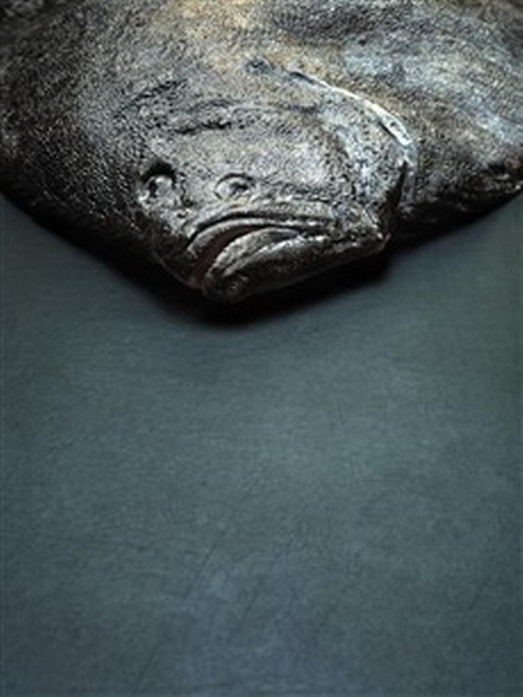 Foto: Christian Stæhr 