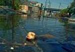 TOPIX HURRICANE KATRINA