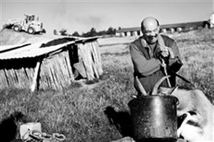 Jan Pauli og de andre beboere på Søholm er glade for dyr. Men de betakker sig for at skulle have en gylletank inden for 150 meters afstand.   Foto: Anders Birch 