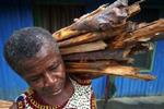 En kvinde bærer brænde i Nigeria. De internationale 2015-mål for at nedbringe fattigdom har besvær med at nå længere end til forhandlingsbordene i den rige del af verden. - Foto: AP 
