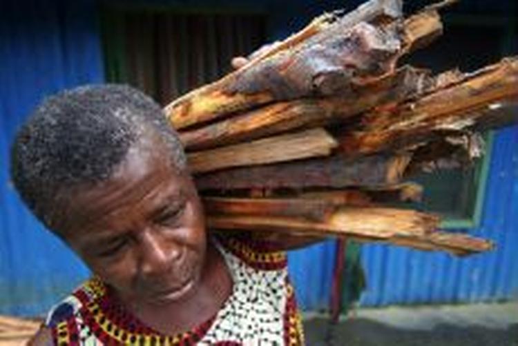 En kvinde bærer brænde i Nigeria. De internationale 2015-mål for at nedbringe fattigdom har besvær med at nå længere end til forhandlingsbordene i den rige del af verden. - Foto: AP 