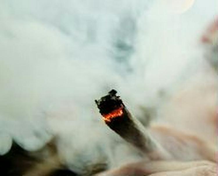 - Foto: Thomas Borberg 