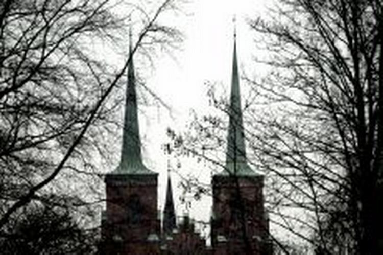 Roskilde vil gerne have Anja Andersen og co. til byen. - Foto: Jacob Ehrbahn 