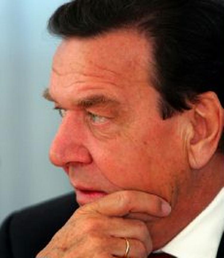 Den tyske forbundskansler Gerhard Schröder bekræfter at, han bliver siddende på magten - Foto: AP 