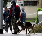 Politi med bombehunde undersøger den britiske ambassade i Zagreb. - Foto: AP 