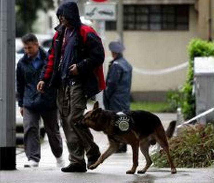 Politi med bombehunde undersøger den britiske ambassade i Zagreb. - Foto: AP 