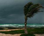 Selve orkanområdet Rita bevæger sig mod land med 23 km/t. og har kurs mod Floridas kyst. - Foto: AP 