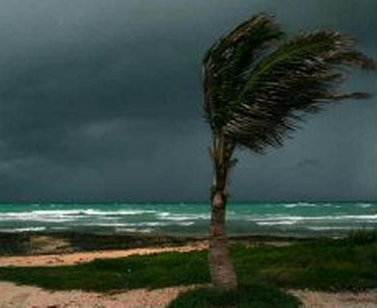 Selve orkanområdet Rita bevæger sig mod land med 23 km/t. og har kurs mod Floridas kyst. - Foto: AP 